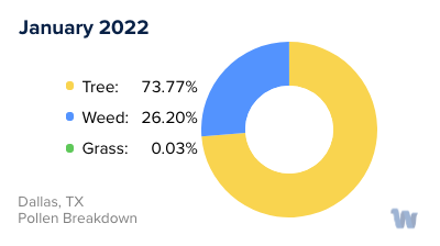 Dallas, TX Pollen and Allergy Trends for Summer 2023 & Wyndly