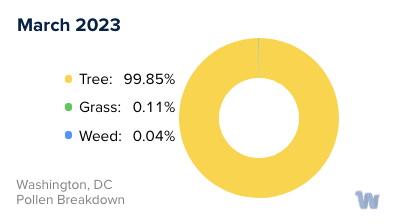 Washington, DC Monthly Pollen Breakdown